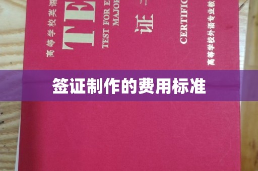 泽普签证制作的费用标准