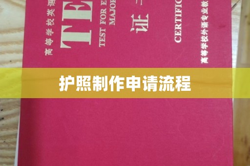 泽普护照制作申请流程