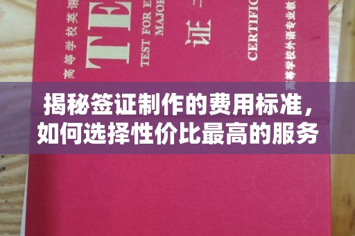 泽普揭秘签证制作的费用标准，如何选择性价比最高的服务？