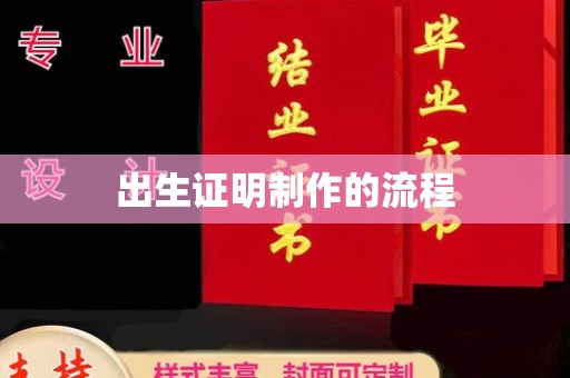 泽普出生证明制作的流程