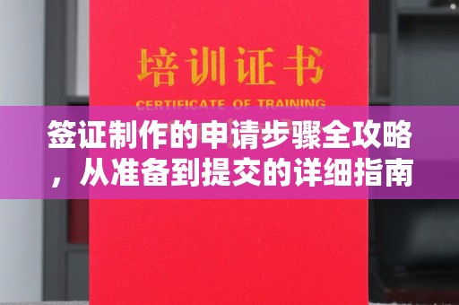 泽普签证制作的申请步骤全攻略，从准备到提交的详细指南